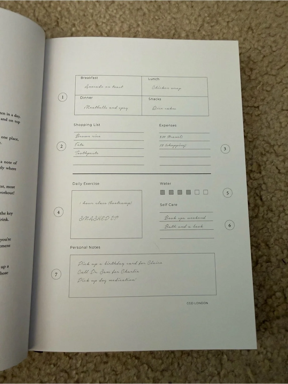 CREATE your FUTURE Hardcover Planner - White